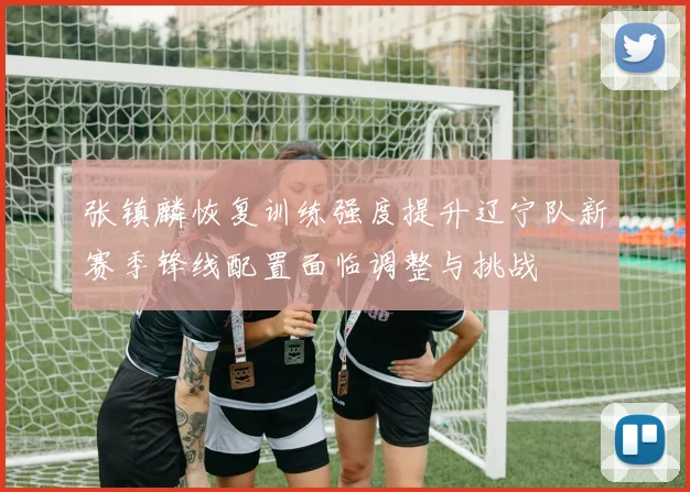 张镇麟恢复训练强度提升辽宁队新赛季锋线配置面临调整与挑战